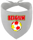 Load image into Gallery viewer, Belgium Soccer Pet Bandana
