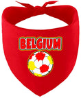 Load image into Gallery viewer, Belgium Soccer Pet Bandana
