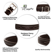 ExionPro Fancy Stitched Padded Leather Dog Collar - Havana Padding
