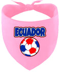 Load image into Gallery viewer, Ecuador Soccer Pet Bandana
