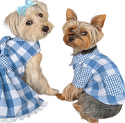 Gingham Picnic Dress