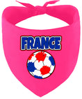 Load image into Gallery viewer, France Soccer Pet Bandana
