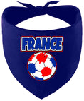 Load image into Gallery viewer, France Soccer Pet Bandana
