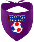 Load image into Gallery viewer, France Soccer Pet Bandana
