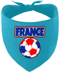 Load image into Gallery viewer, France Soccer Pet Bandana
