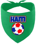 Load image into Gallery viewer, Haiti Soccer Pet Bandana
