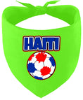 Load image into Gallery viewer, Haiti Soccer Pet Bandana
