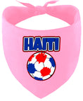 Load image into Gallery viewer, Haiti Soccer Pet Bandana
