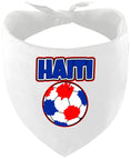 Load image into Gallery viewer, Haiti Soccer Pet Bandana
