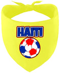 Load image into Gallery viewer, Haiti Soccer Pet Bandana
