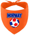 Load image into Gallery viewer, Norway Soccer Pet Bandana
