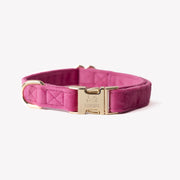 'Magenta' - Velvet Dog Collar 