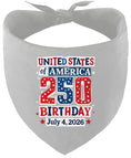 Load image into Gallery viewer, USA 250th Birthday Pet Bandana
