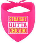 Load image into Gallery viewer, Straight Outta Chicago Pet Bandana
