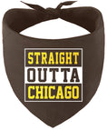 Load image into Gallery viewer, Straight Outta Chicago Pet Bandana
