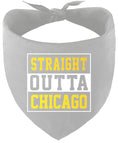 Load image into Gallery viewer, Straight Outta Chicago Pet Bandana
