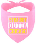 Load image into Gallery viewer, Straight Outta Chicago Pet Bandana
