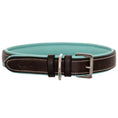 Load image into Gallery viewer, ExionPro Fancy Stitched Padded Leather Dog Collar - Sky Blue Padding
