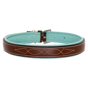 ExionPro Fancy Stitched Padded Leather Dog Collar - Sky Blue Padding