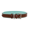 Load image into Gallery viewer, ExionPro Fancy Stitched Padded Leather Dog Collar - Sky Blue Padding
