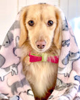 Load image into Gallery viewer, BOW TIE - CANDY SWIRL
