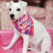 Pink Luxe Flannel Plaid dog bandana | Pink, Sweet & Sassy | Valentine Bandana