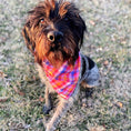 Load image into Gallery viewer, Valentine Bandana | Valentines Day Bandana | Pink Plaid Bandana, Plaid Bandana, Fall Bandana, High Quality Fabric, Pink, Blue, Orange

