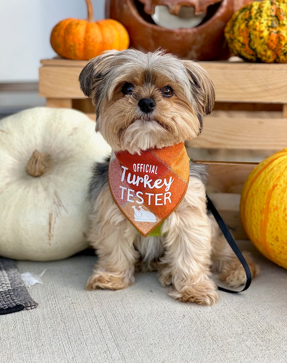 Fall Thanksgiving Bandana | Turkey Bandana | Holiday Dog Bandana | Fall Bandana - Reversible - Southlake Paws