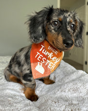 Fall Thanksgiving Bandana | Turkey Bandana | Holiday Dog Bandana | Fall Bandana - Reversible