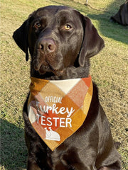 Fall Thanksgiving Bandana | Turkey Bandana | Holiday Dog Bandana | Fall Bandana - Reversible
