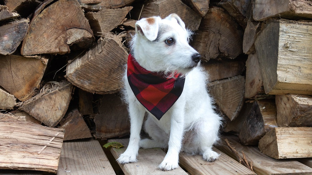 Plaid Bandana, Flannel Bandana, Dog Bandana, Fall Bandana, Christmas Bandana, Bufflao Plaid, Red Bandana - Southlake Paws