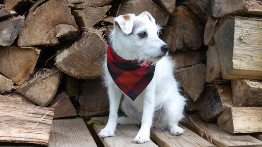 Plaid Bandana, Flannel Bandana, Dog Bandana, Fall Bandana, Christmas Bandana, Bufflao Plaid, Red Bandana - Southlake Paws