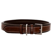 ExionPro Fancy Stitched Padded Leather Dog Collar - Brown Padding