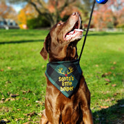 Christmas Bandana - Black & Green Plaid Flannel Dog Bandana  - SANTA'S LITTLE HELPER