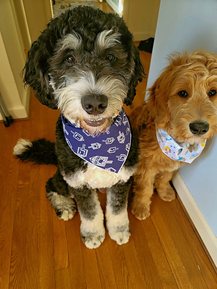Hanukkah Dog Bandana with Dreidels on Blue Cotton
