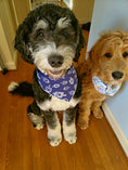 Load image into Gallery viewer, Hanukkah Dog Bandana with Dreidels on White Cotton
