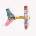 Load image into Gallery viewer, Rainbow - Dog Harness 

