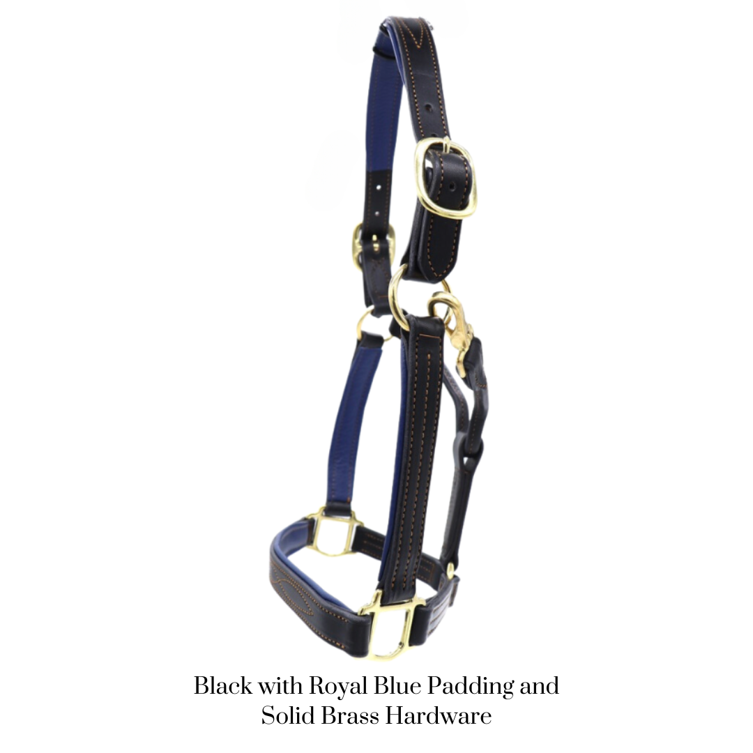 GHC Padded Halter