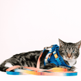 Load image into Gallery viewer, Atlas Cat Harness & Leash Set
