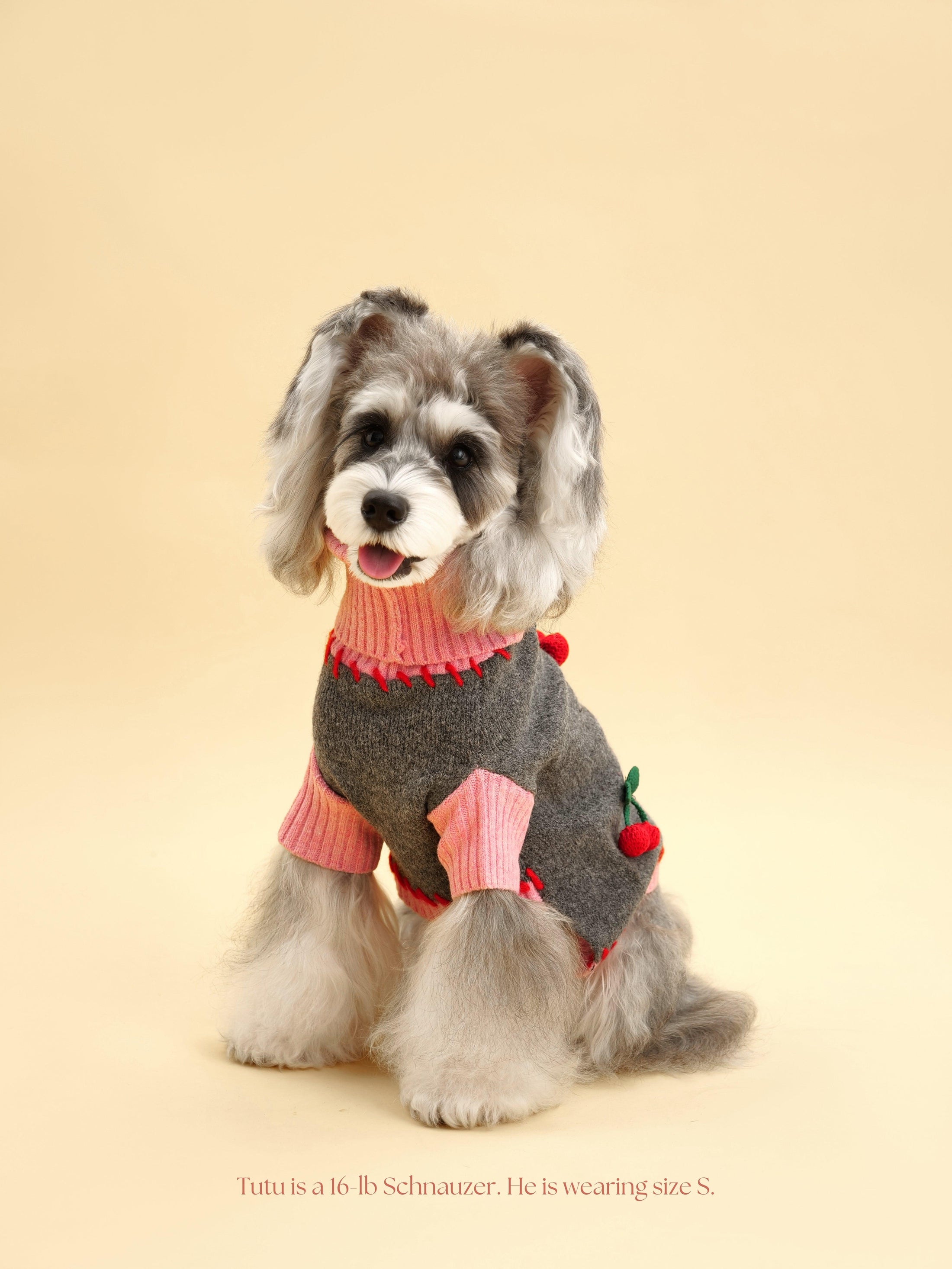Cherry Kiss Sweater 