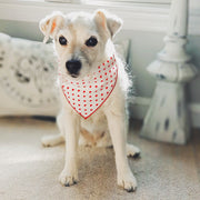 Valentine Bandana | Valentines Day Bandana | Red Hearts Valentine Dog Red Bandana