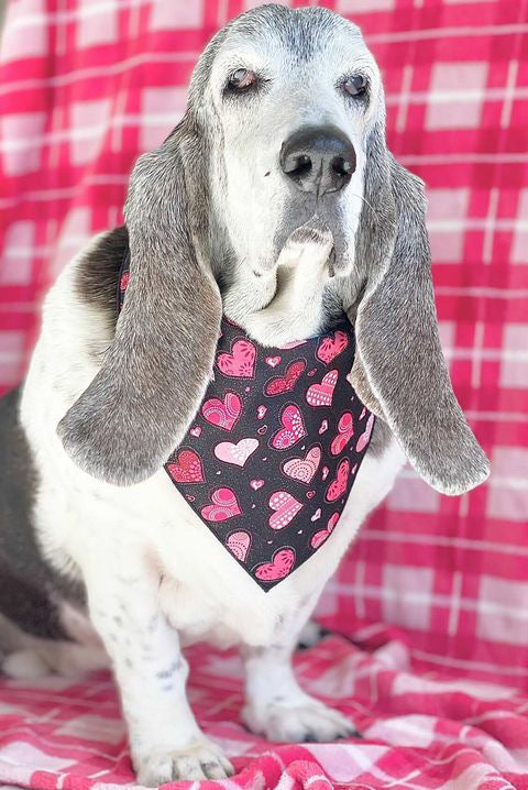 Valentine Bandana | Valentines Day Bandana | Red Hearts Valentine Dog Bandana - Southlake Paws