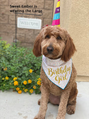 Birthday Girl Dog Birthday |  Birthday Dog Bandana | Happy Birthday Bandana