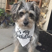 Birthday Bandana, Dog Birthday |  Birthday Dog Bandana | Happy Birthday Bandana, It's My Birthday  | Party Bandana