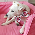 Load image into Gallery viewer, Valentine Bow Tie | Valentines Day Bow Tie | Valentine Dog Bow Tie - Southlake Paws
