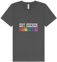 Load image into Gallery viewer, Gay Agenda Unisex V-Neck Shirt
