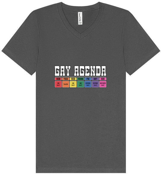 Gay Agenda Unisex V-Neck Shirt