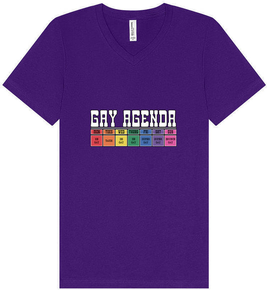 Gay Agenda Unisex V-Neck Shirt
