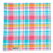 Madras Plaid Turquoise/Pink/Multi Bandana