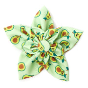 Avocados Flower Collar Attachment